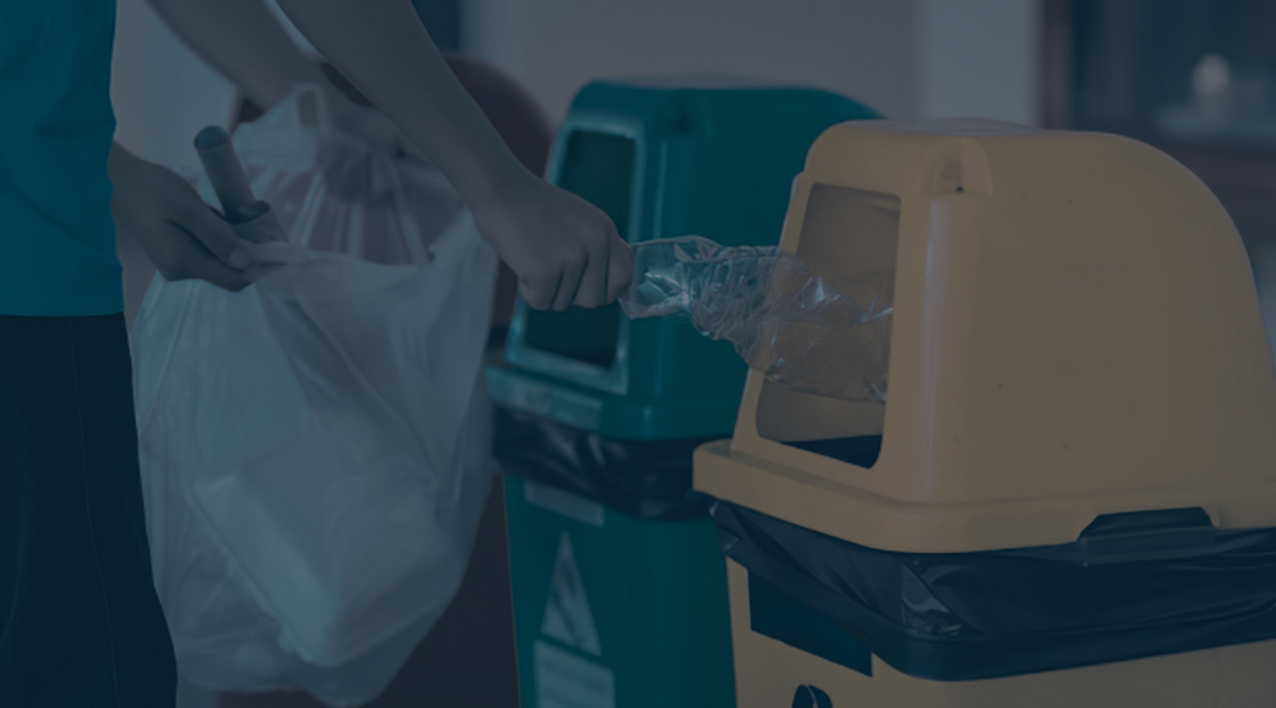Waste Diversion Requirements for Businesses in the United States
